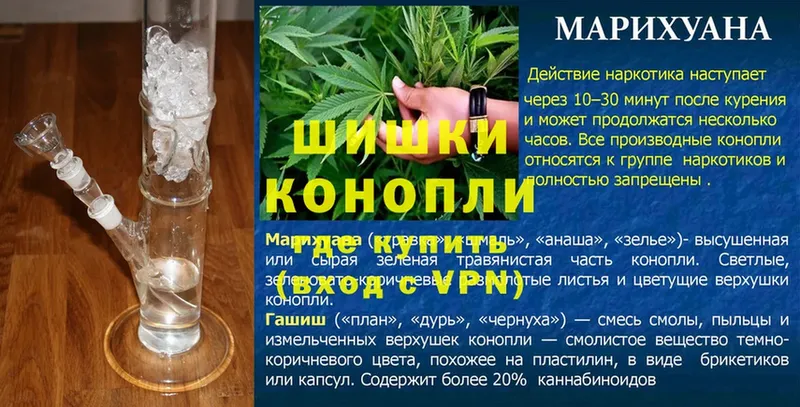 Конопля SATIVA & INDICA  цены наркотик  Новороссийск 